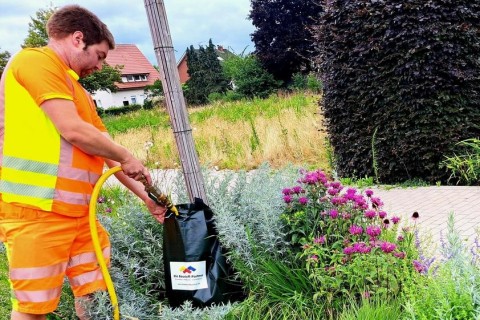 100 zusätzliche Bewässerungssäcke für die Verler Stadtbäume